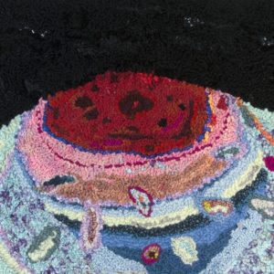 South Pole of Saturn, detail. 28" x 19", hand-cut wool and jersey, sari silk, wool roving, wool and synthetic yarn on linen. South Pole of Saturn, detail. 28" x 19", hand-cut wool and jersey, sari silk, wool roving, wool and synthetic yarn on linen.